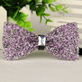 Hand made mens bowtie Silver crystal and gem bow tie 2016 new arrival gentlemen fashion casual gravata borboleta masculina lot