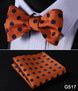 Check Polka Dot Silk Jacquard Woven Men Butterfly Self Bow Tie BowTie Pocket Square Handkerchief Hanky Suit Set G5