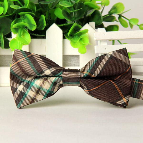 SHENNAIWEI high quality fashion 2016 men casual Cotton bow tie men's bowties for man butterfly cravat Plaid bowtie Gravata lot