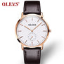 Olevs Brand Name Male Watches Luxury Leather Watchband Wristwatches Simple Quartz Men Clocks High Quality Students Watch G5871P